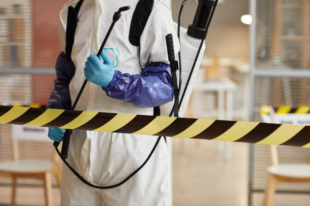 Professional Sewage Cleanup technician working in Tilleda, WI